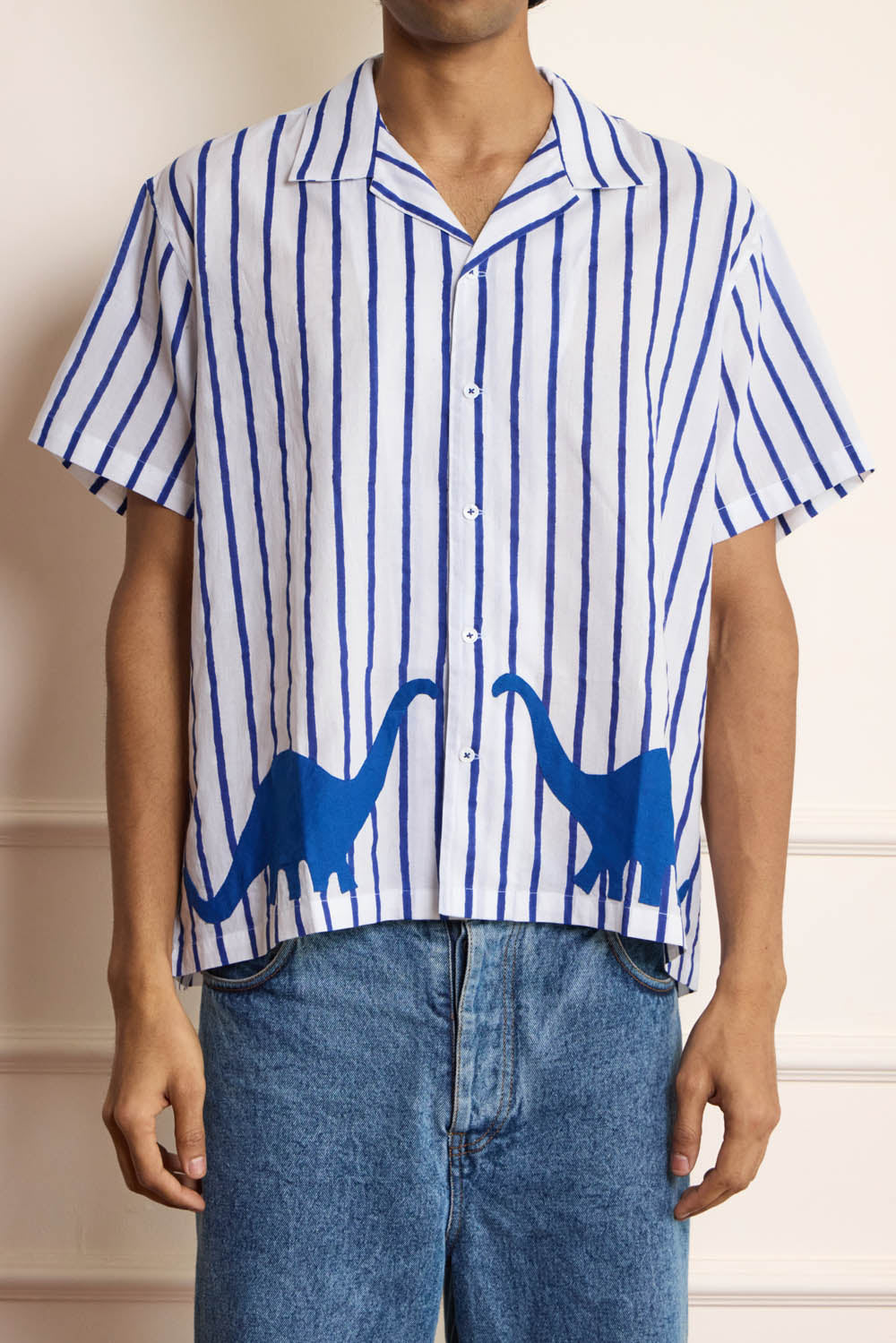 Dinosaur Applique Shirt